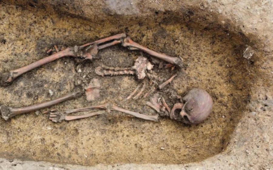50 Danish Viking Skeletons Unearthed in a State of ‘Exceptional Preservation’